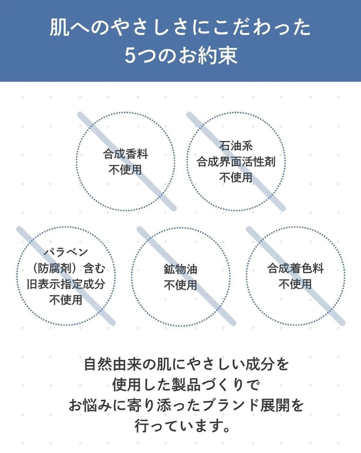 365日、毎日使う