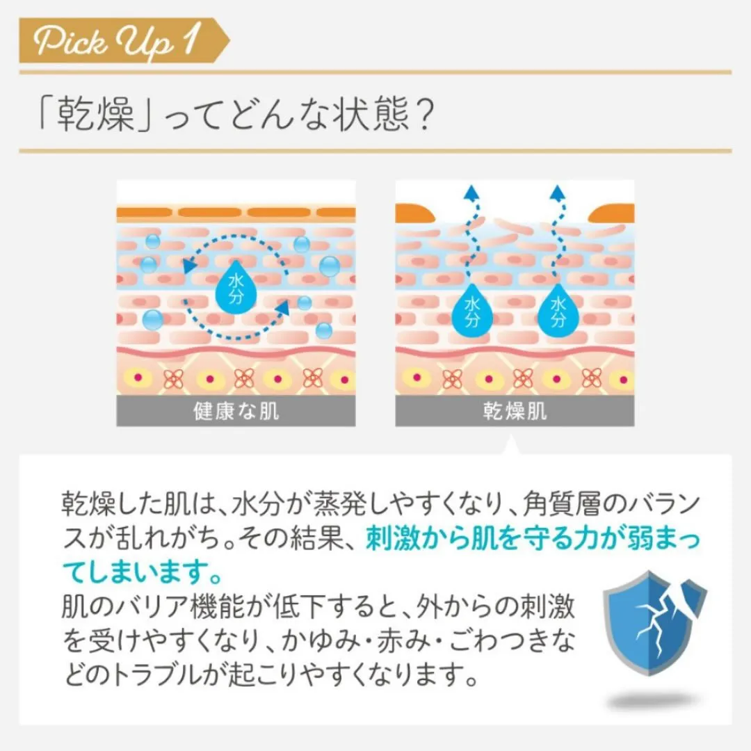 \冬を美肌で乗り越える/